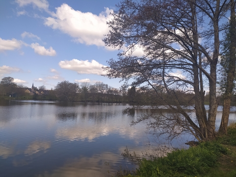 Olivet 53 Mayenne - vue de l'étang